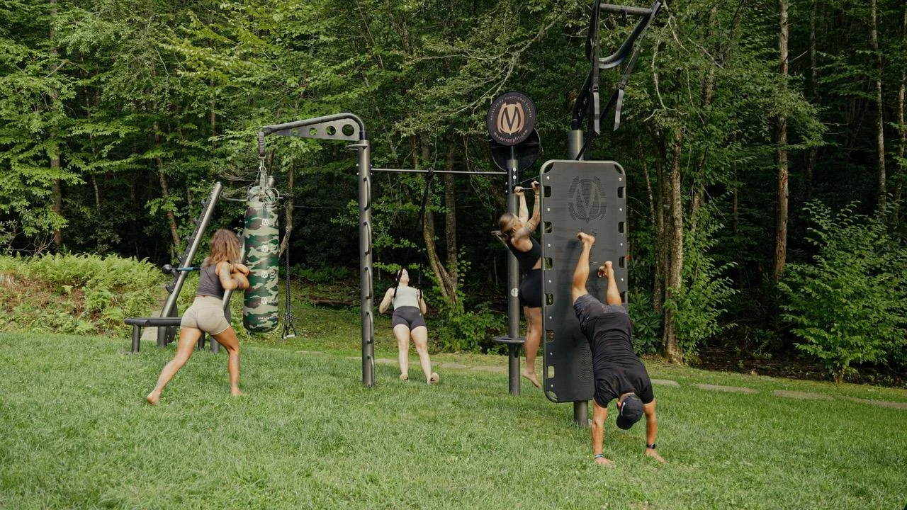 Top Outdoor Workout Station- T-Rex